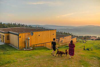 Ferien mit Hund im Bayerischen Wald
